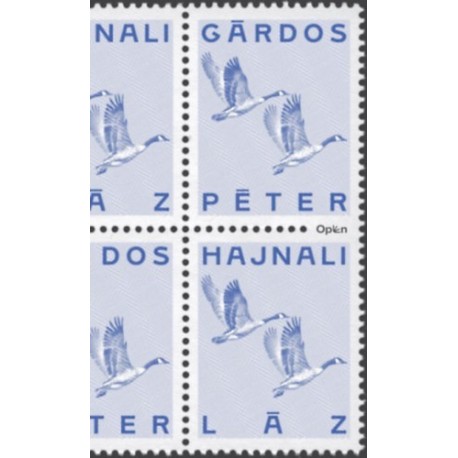 Gárdos Péter: Hajnali láz