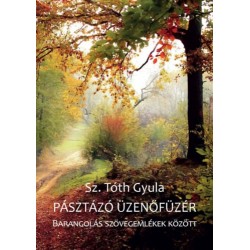 Sz. Tóth Gyula: Pásztázó üzenőfüzér - Barangolás szövegemlékek között