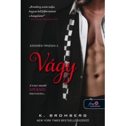 K. Bromberg: Vágy - Szükség-trilógia 2.
