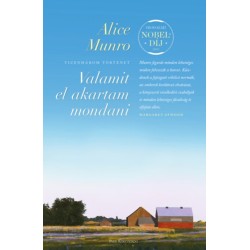 Alice Munro: Valamit el akartam mondani - Tizenhárom történet