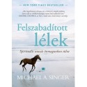 Michael A. Singer: Felszabadított lélek - Spirituális utazás önmagunkon túlra