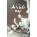 Acsai Roland: Áttelelő nap