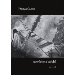 Farkas Gábor: Szemközt a köddel