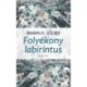 Ambrus József: Folyékony labirintus