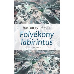 Ambrus József: Folyékony labirintus