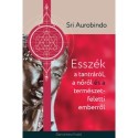 Sri Aurobindo: Esszék a tantráról a nőről és a természet feletti emberről