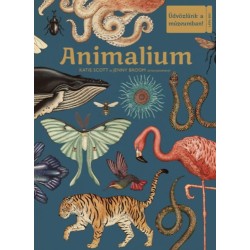 Jenny Broom, Katie Scott: Animalium - Üdvözlünk a múzeumban!