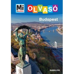 Rozgonyi Sarolta: Budapest - Mi Micsoda Olvasó