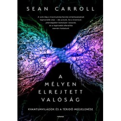 Sean Carroll: A mélyen elrejtett valóság - Kvantumvilágok és a téridő megjelenése