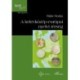 Nádor Orsolya: A kelet-közép-európai nyelvi térség