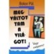 Bokor Pál: Megváltottam a világot! - Vagy mégsem?