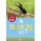 Bärbel Oftring: Mi mocorog ott? - Rovarok, pókok, százlábúak, ászkák
