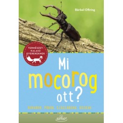Bärbel Oftring: Mi mocorog ott? - Rovarok, pókok, százlábúak, ászkák