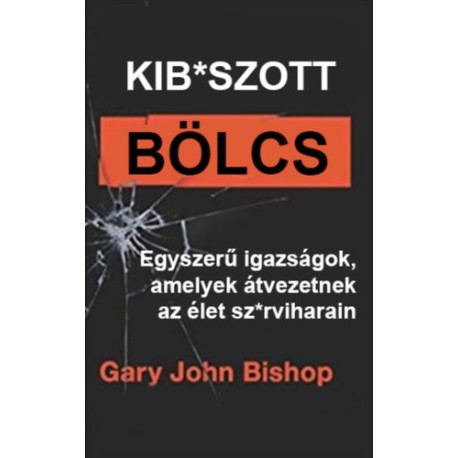 Gary John Bishop: Kib*szott bölcs - Egyszerű igazságok, amelyek átvezetnek az élet sz*rviharain