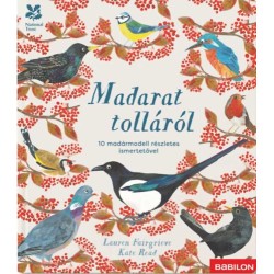 Lauren Fairgrieve: Madarat tolláról - 10 madármodell részletes ismertetővel
