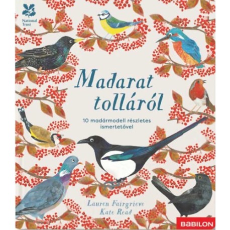 Lauren Fairgrieve: Madarat tolláról - 10 madármodell részletes ismertetővel