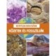 Egyetlen bolygónk - Kőzetek és fosszíliák