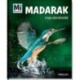 Alexandra Werdes: Madarak - Légi akrobaták