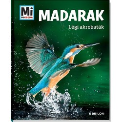 Alexandra Werdes: Madarak - Légi akrobaták