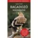 Legény Árpád: Ragadozó madaraink - Természetbarátok zsebkönyve