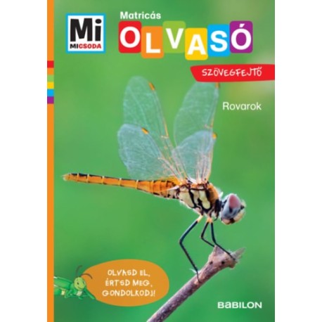 Christina Braun: Rovarok - Mi Micsoda Olvasó - Matricás szövegfejtő - Olvasd el, értsd meg, gondolkodj!