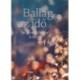 Ballag az idő
