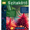 Horgas Judit (Szerk.): Szitakötő 2024/66. - A kíváncsi gyerekek folyóirata