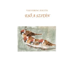 Vasi Ferenc Zoltán: Eső a szitán