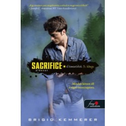 Brigid Kemmerer: Sacrifice - Áldozat - Elementálok 5.