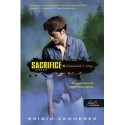 Brigid Kemmerer: Sacrifice - Áldozat - Elementálok 5.