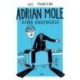 Sue Townsend: Adrian Mole újabb kínszenvedései