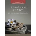 Jon Kabat-Zinn: Bárhová mész, ott vagy - Éberségmeditáció a mindennapi életben