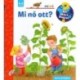 Constanza Droop: Mi nő ott? - Mit? Miért? Hogyan? Scolar mini 17.