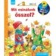 Andrea Erne: Mit csinálunk ősszel? - Mit? Miért? Hogyan? Mini 64.