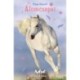 Pippa Funnell: Álomcsapat - Tilly és Táltos