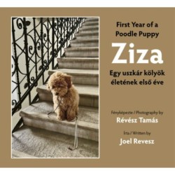 Révész Tamás, Joel Revesz: Ziza - Egy uszkár kölyök életének első éve