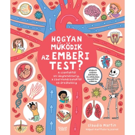 Claudia Martin: Hogyan működik az emberi test? - A csontoktól az idegrendszerig, a szervrendszerektől az érzékelésig