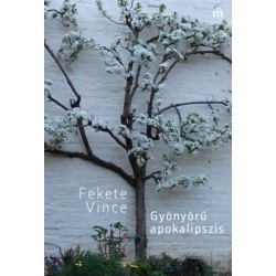 Fekete Vince: Gyönyörű apokalipszis