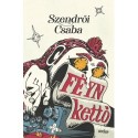 Szendrői Csaba: Féyn kettő