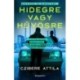 Czibere Attila: Hidegre vagy hűvösre