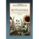 Dr. Augustin Béla: Botanika - A gyógyszerészeti növénytan vázlata