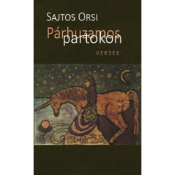 Sajtos Orsi: Párhuzamos partokon