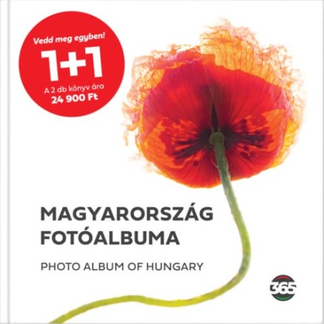 Győrffy Ákos, Muray Gábor: Magyarország fotóalbuma / Magyarország - Az útikönyv