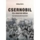 Boldog Dalma: Csernobil és a magyar média