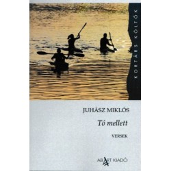 Juhász Miklós: Tó mellett