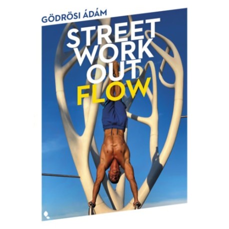Gödrösi Ádám: Street workout flow