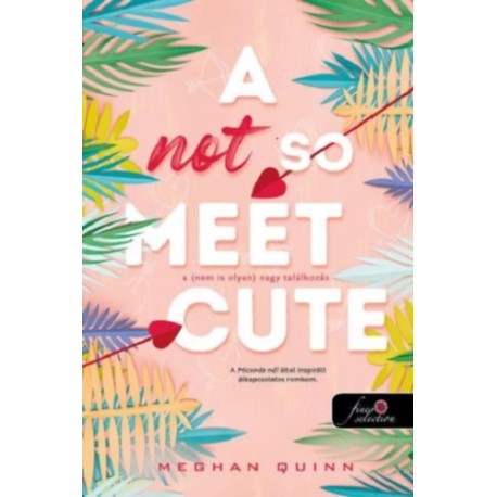 Meghan Quinn: A Not So Meet Cute - A (nem is olyan) nagy találkozás
