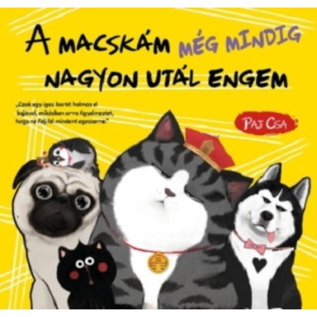 Paj Csa: A macskám még mindig nagyon utál engem - Macska és Kutya 3.