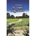 Rumi Róbert: Kis Csapat Nagy Sztorik