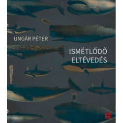 Ungár Péter: Ismétlődő eltévedés